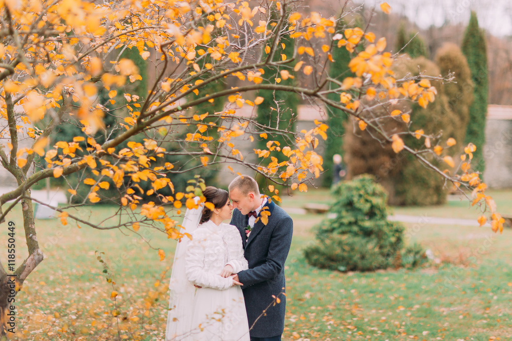 Charming newlywed pair embracing in the beautiful autumn park under tree with yellow leaves - obrazy, fototapety, plakaty 