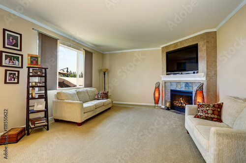 Living room interior with fireplace and two comfortable sofas.