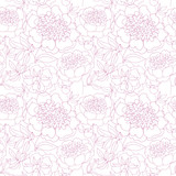 rosy peony floral sketch. spring flower vector illustration. bla