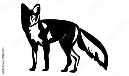 fox