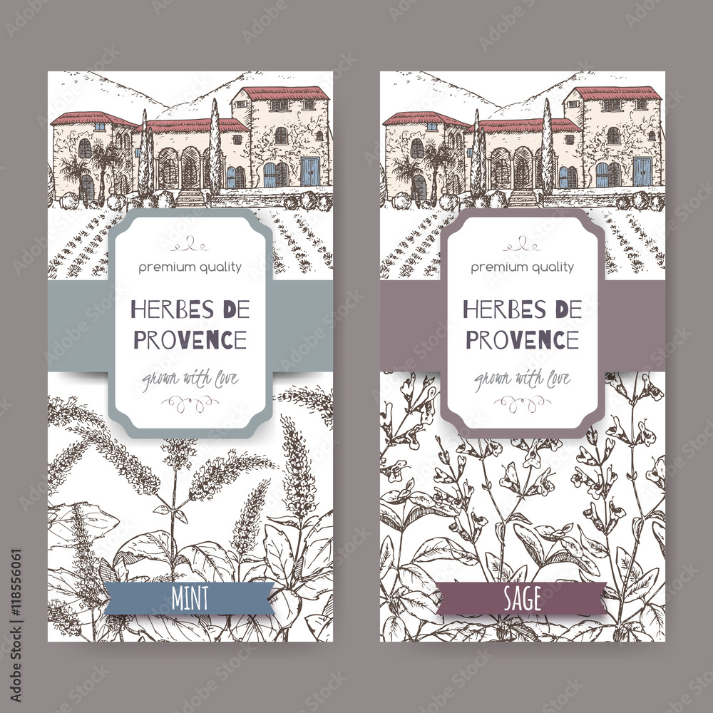 Two labels with cottage, mint and sage sketch on white.
