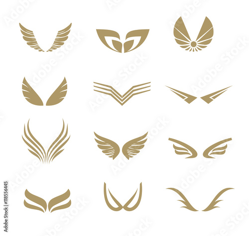 Set of wings