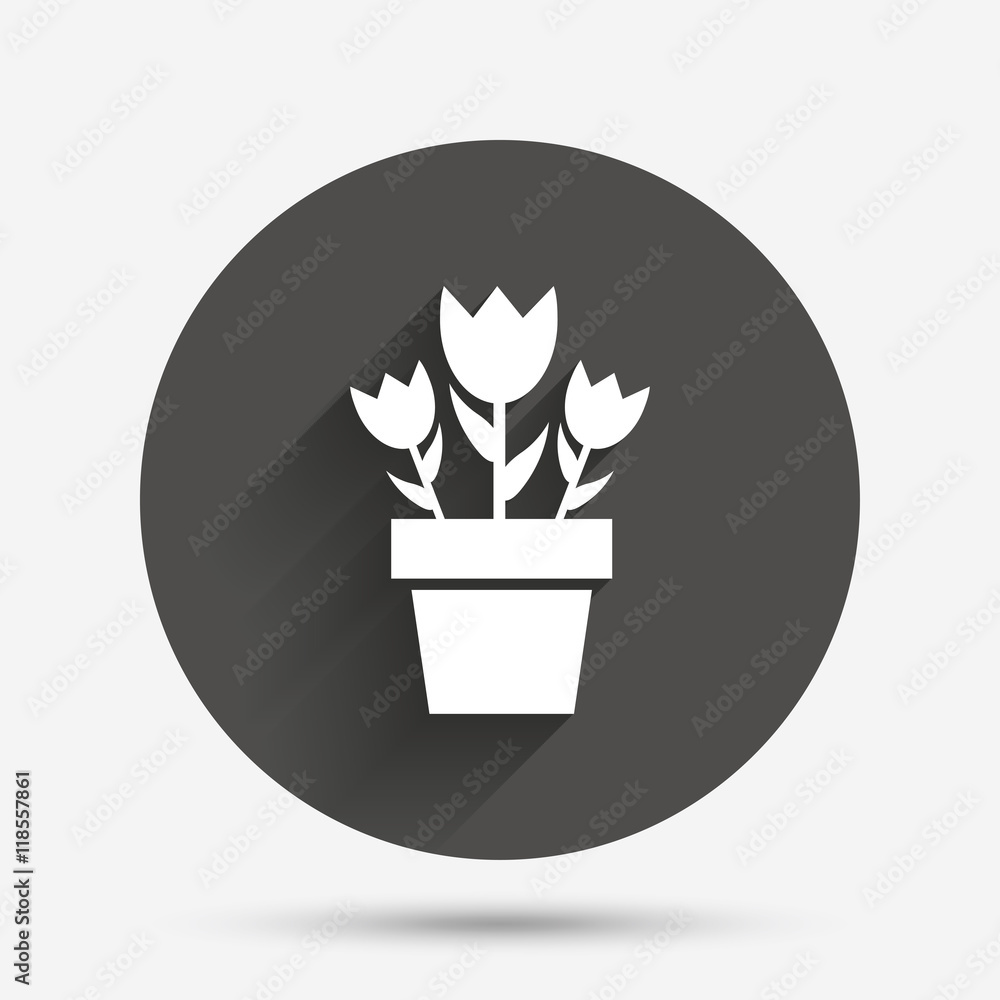 Flowers in pot sign icon. Bouquet of roses. Flowers in pot sign icon. Bouquet of roses.