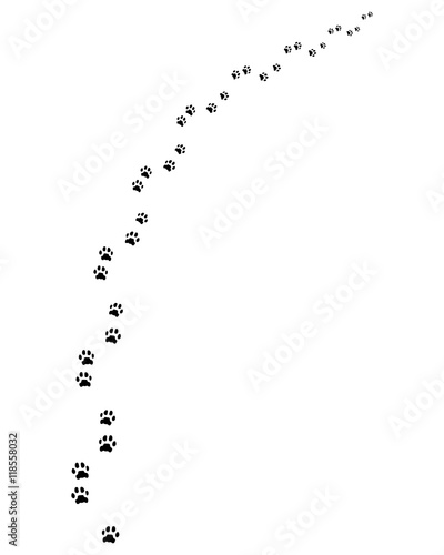 Black footprints of dog, turn right, vector