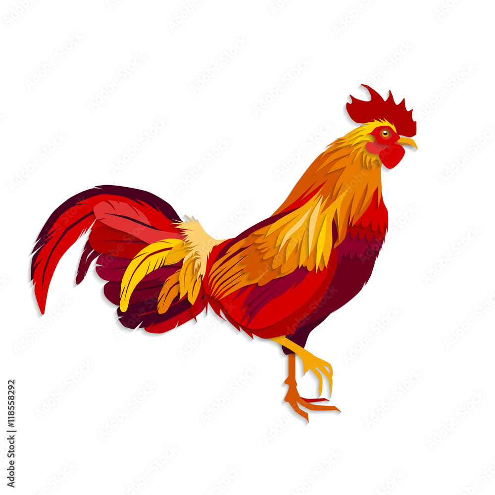 Color fire cock on white background looking at right. Chinese calendar Zodiac for 2017 New Year of red rooster. Isolated vector silhouette made in paper cut style.