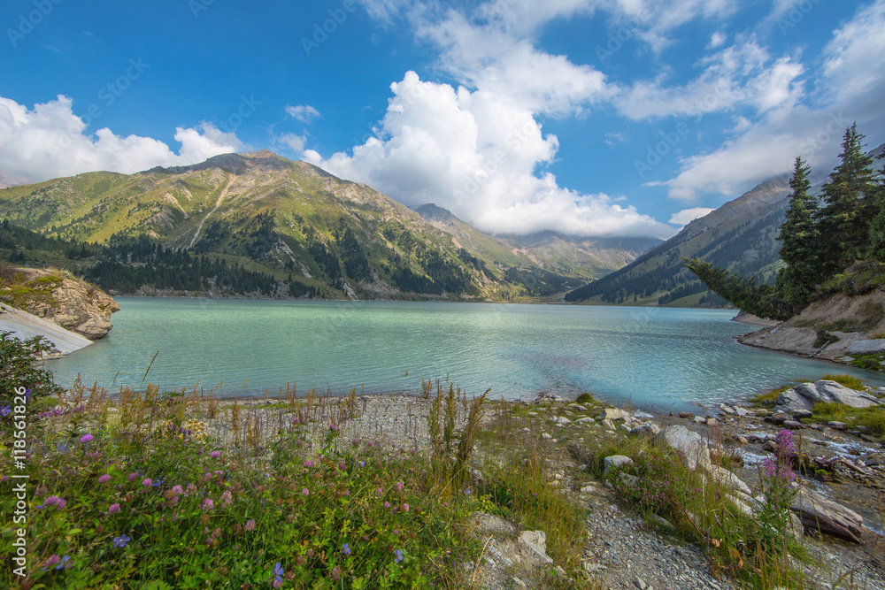 mountain lake, pine trees, Kazakhstan