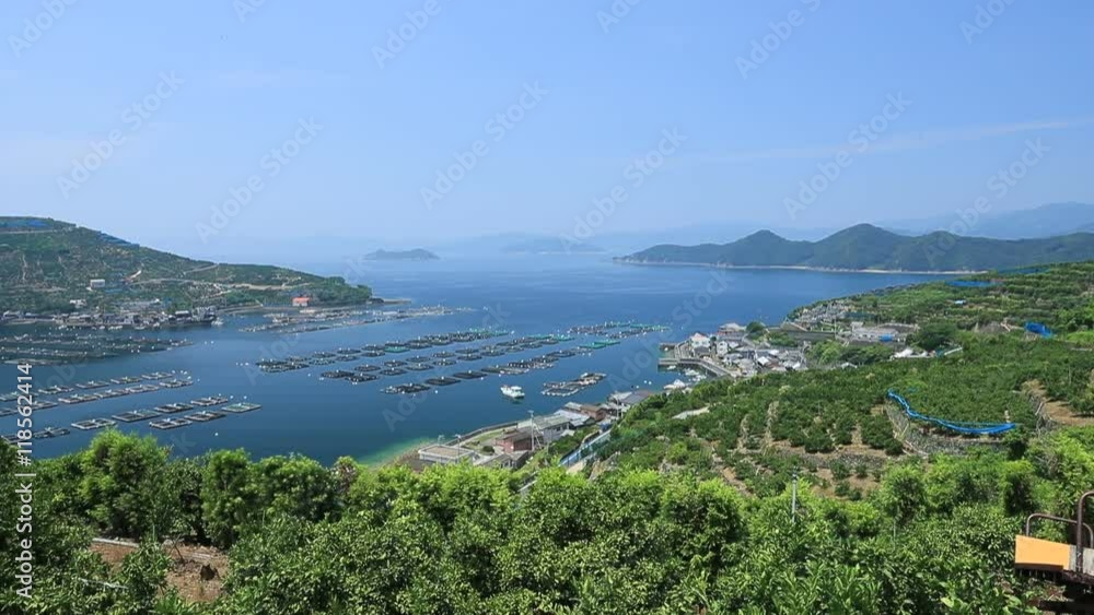 みかんの段々畑と養殖いかだ(愛媛県八幡浜川上)/左パン みかんの段々畑と養殖いかだ(愛媛県八幡浜川上)/左パン