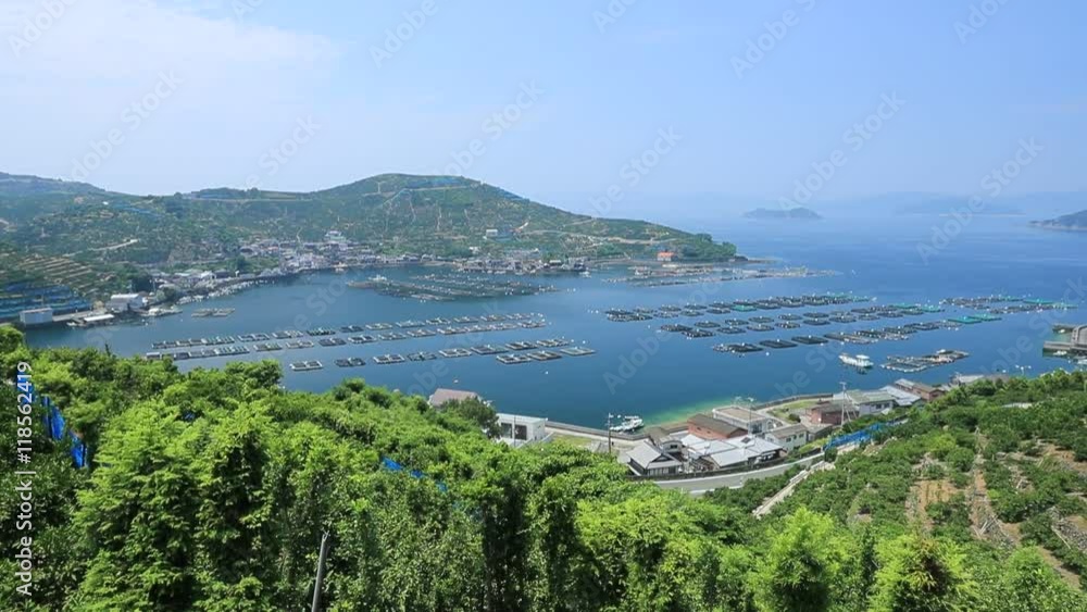 みかんの段々畑と養殖いかだ(愛媛県八幡浜川上)/右パン みかんの段々畑と養殖いかだ(愛媛県八幡浜川上)/右パン
