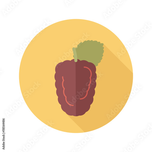 Blackberry bramble flat icon. Berry fruit