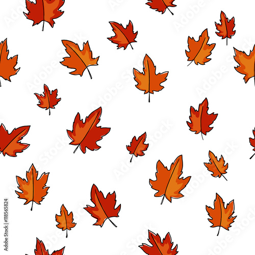 color pattern of autumn maple leaves