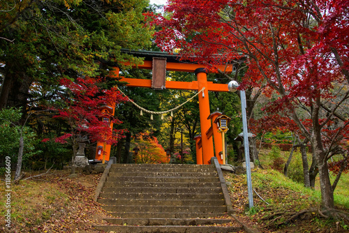 Red Torii gate to chureito pagoda photo