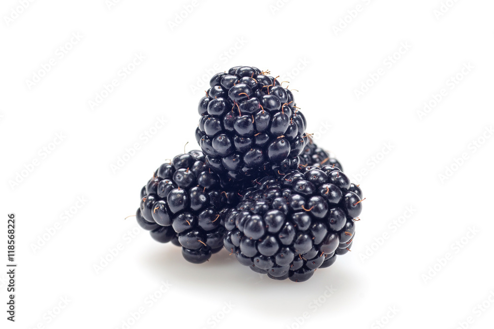 Three blackberries on the white background. Three blackberries on the white background.