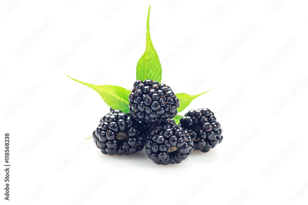 Bunch of blackberries isolated on white Bunch of blackberries isolated on white