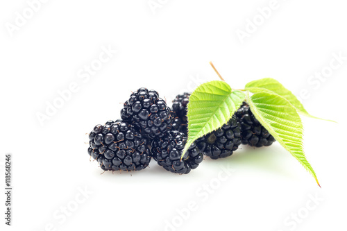 Bunch of blackberries isolated on white