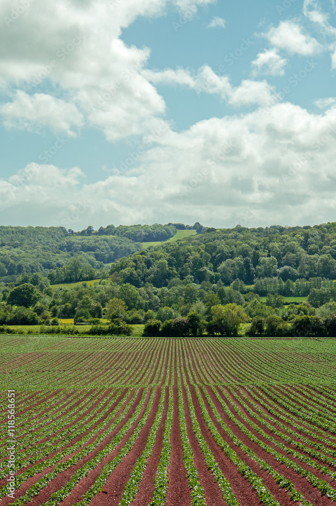 English countryside scenery.