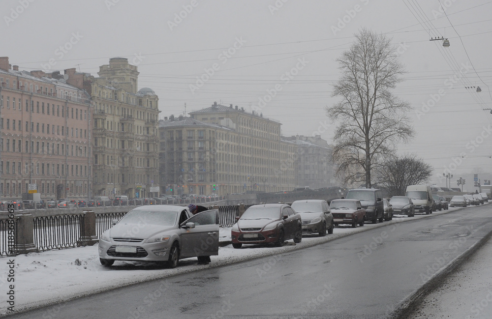 the February snowstorm - obrazy, fototapety, plakaty 