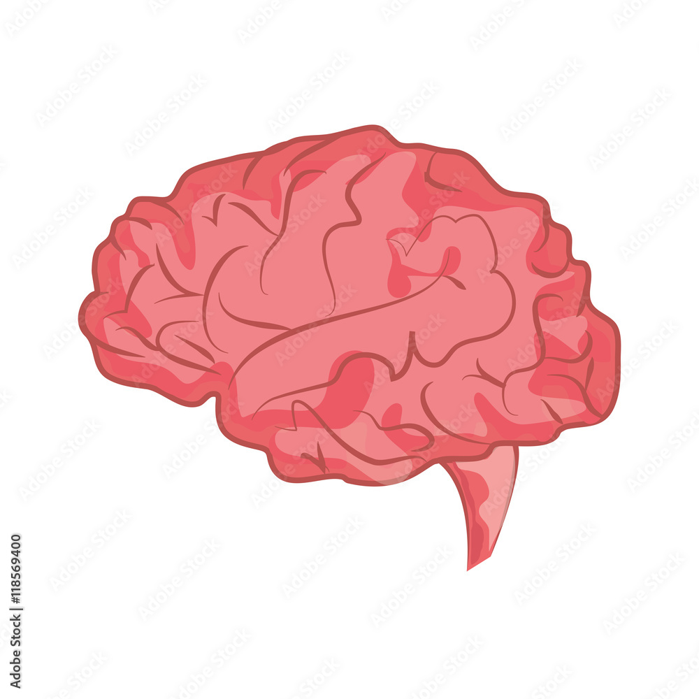 flat design human brain icon vector illustration flat design human brain icon vector illustration