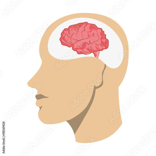 flat design human brain in head icon vector illustration