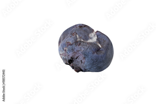 Isolated Close-up of decaying, molded blueberry (side view)