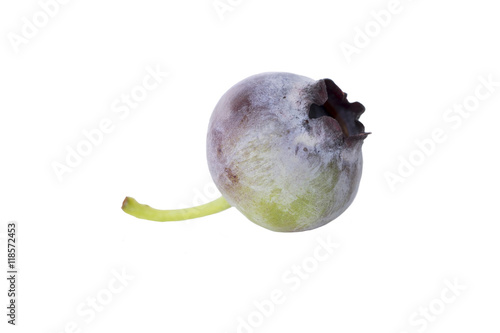 Isolated Close-up of slightly unripe blueberry (side view)