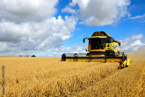 Combine Harvester Cutting Wheat, Tractor with Trailers on the Horizon photo