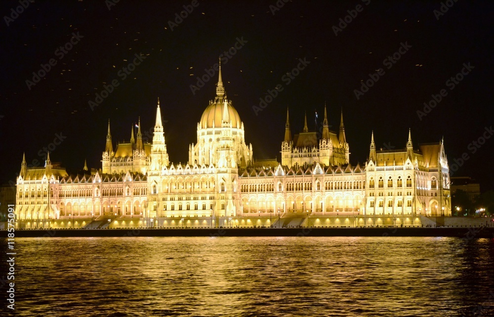 Illumination du parlement Hongrois et vols oiseaux, Budapest la nuit