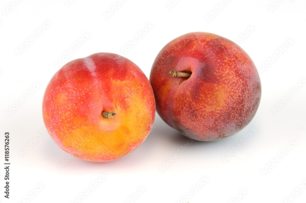 fresh plum isolated on white background fresh plum isolated on white background