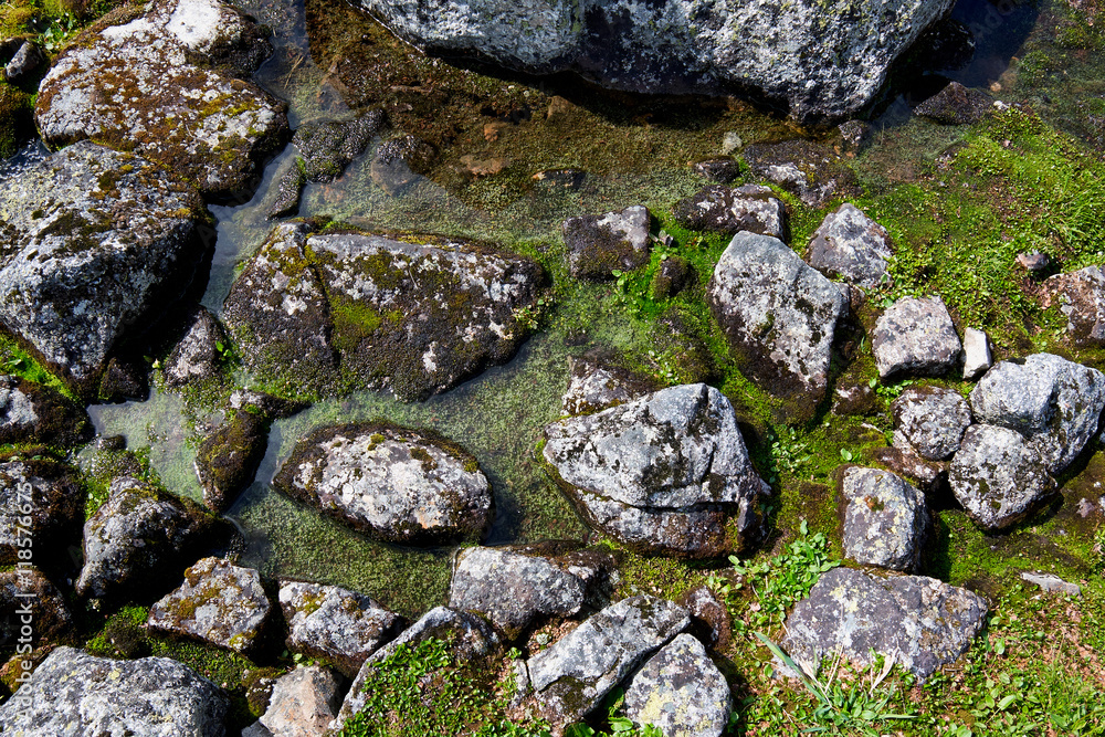 Closeup of granite boulders, rocks and pebbles in a puddle of water in a green marsh landscape in Telemark, Norway