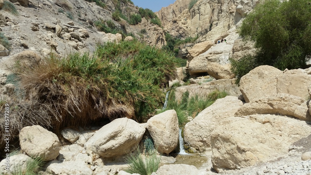 oasis of Ein Gedi in Israel oasis of Ein Gedi in Israel