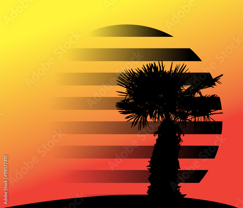 Silhouette of Palm Trees. Vector Illustration.