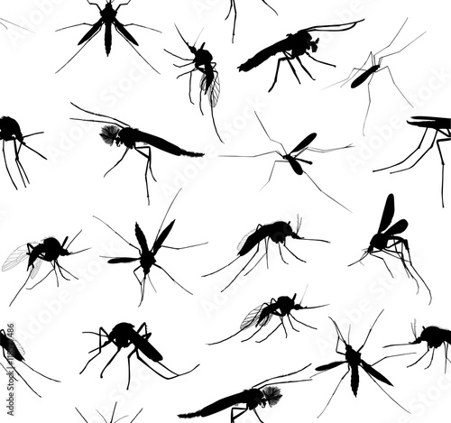 black mosquito silhouette seamless background