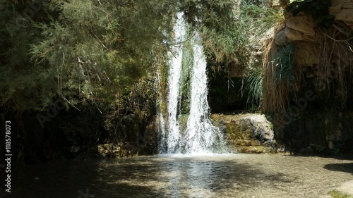 oasis of Ein Gedi in Israel