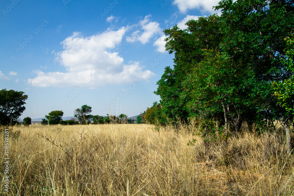 Bushveld Bushveld