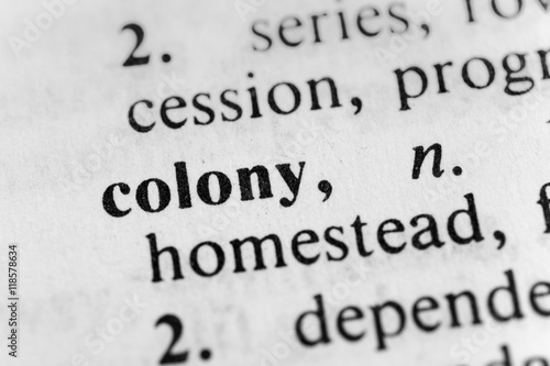 Colony