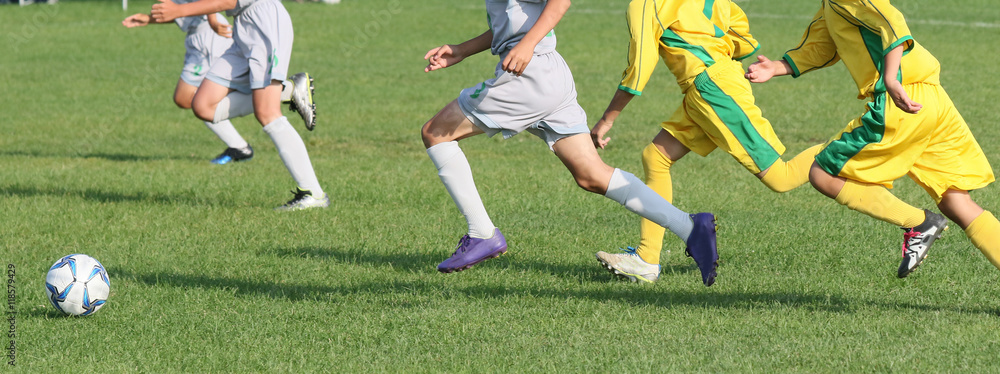 Fototapeta premium サッカー フットボール