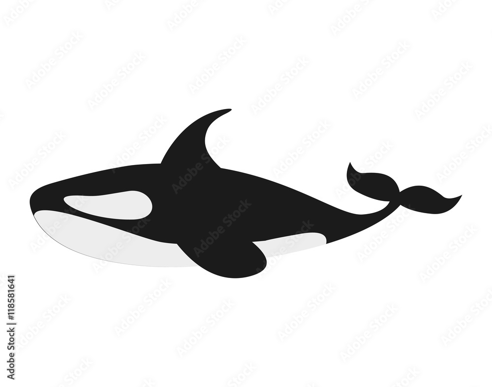 orca whale isolated icon orca whale isolated icon