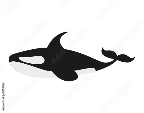 orca whale isolated icon