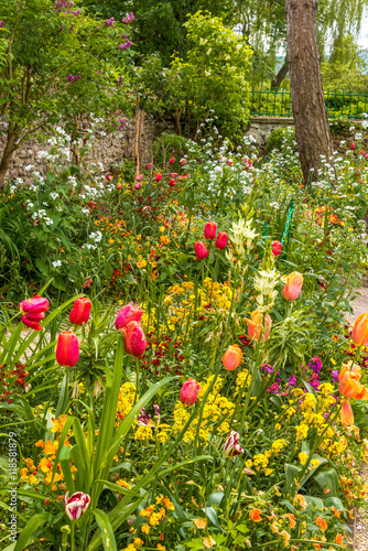 Fototapeta Naklejka Na Ścianę i Meble -  Mixed flowers in the garden