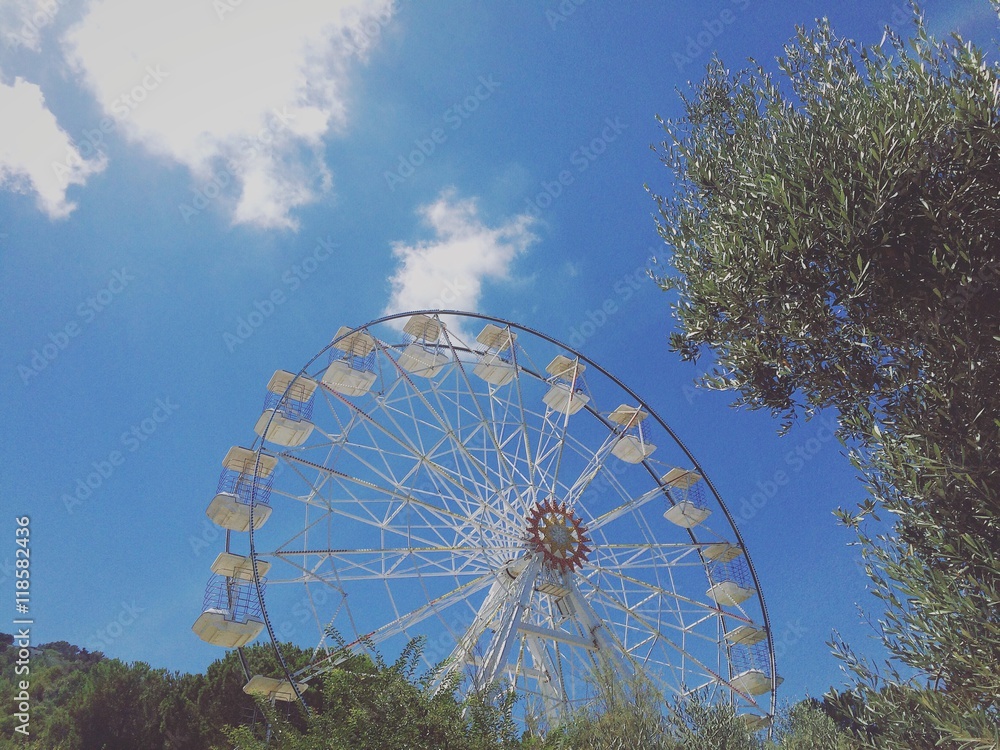 Fototapeta premium ruota 