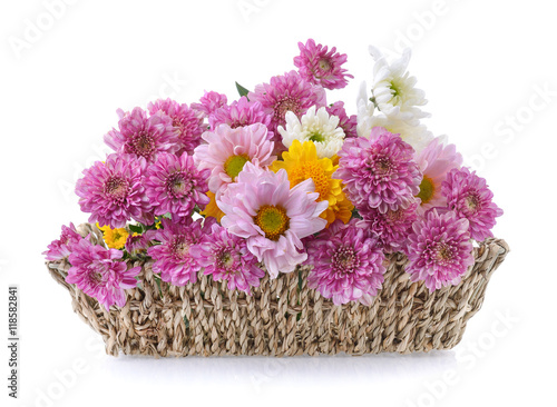 Fototapeta Naklejka Na Ścianę i Meble -  chrysanthemums in basket on white background