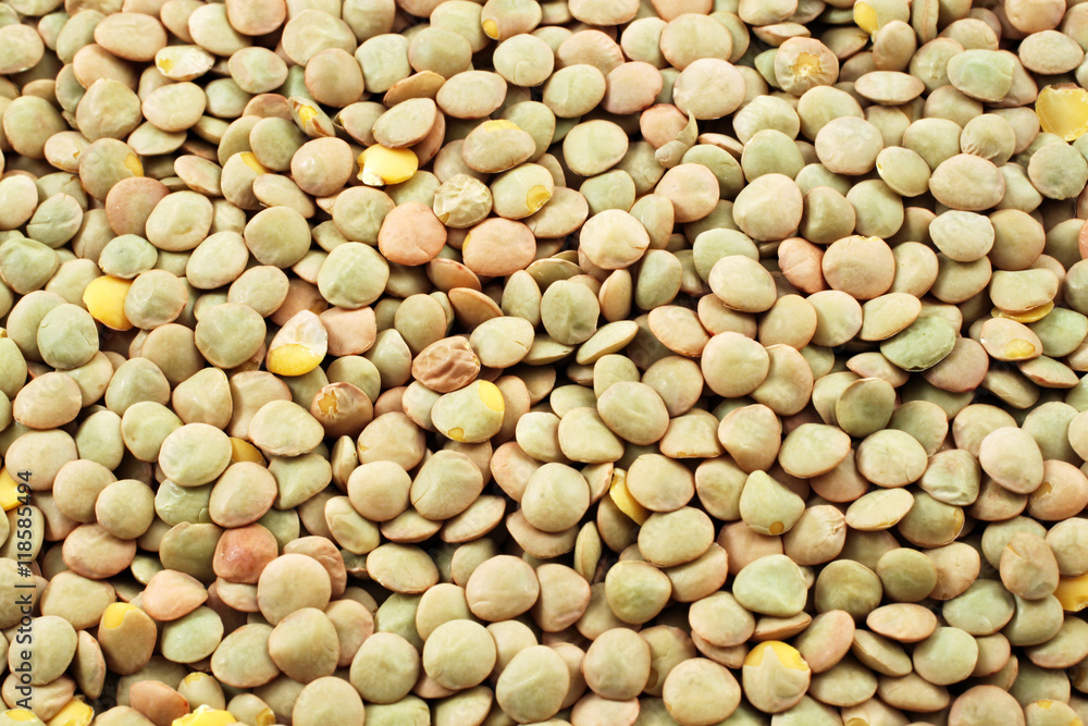 Lentils In Macro Lentils In Macro