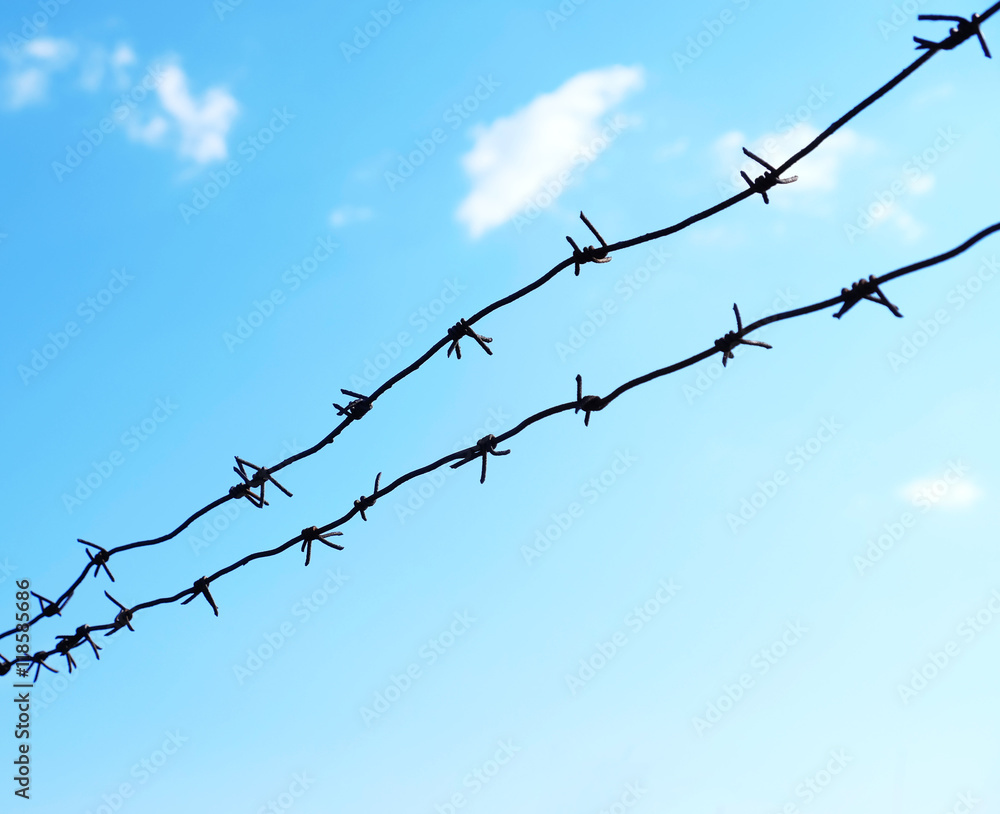 Barbed wire on sky background Barbed wire on sky background
