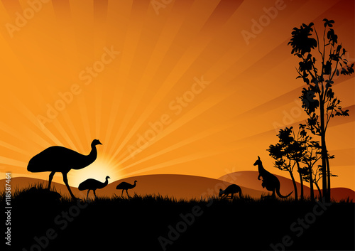 emu in sunset © electra kay-smith