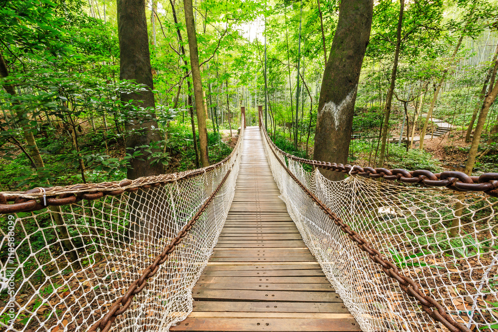 suspension bridge in the quiet forest suspension bridge in the quiet forest