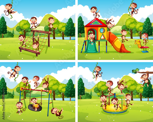 Scenes with monkeys playing in the park