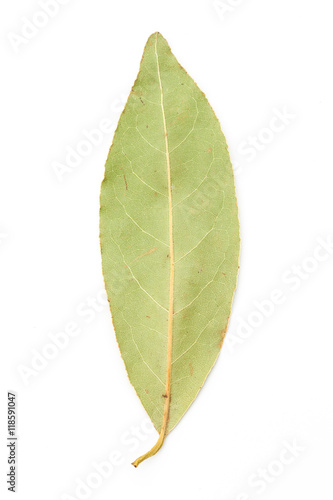 overhead shot of group of dried bay leaves  isolated