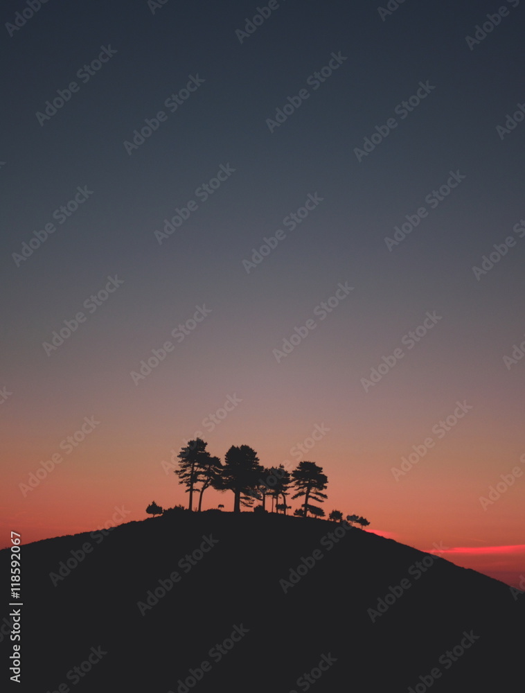 Sunrise over Colmer's Hill in Devon, England