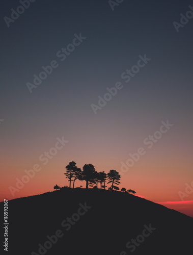 Sunrise over Colmer's Hill in Devon, England photo