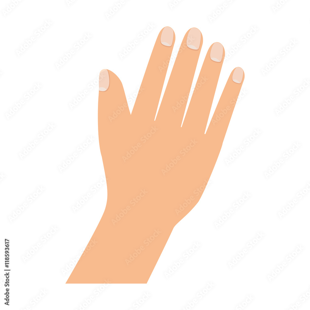 hand palm finger nails care human gesture vector illustration hand palm finger nails care human gesture vector illustration