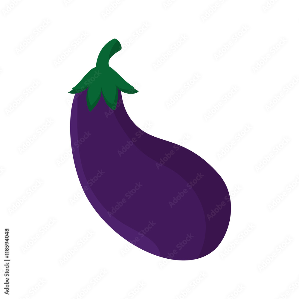 eggplant vegetable food agriculture healthy ingredient vector illustration eggplant vegetable food agriculture healthy ingredient vector illustration